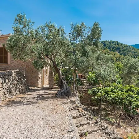 Dos Villa *